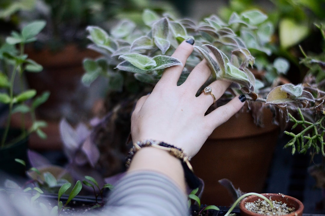 Photo watch ring